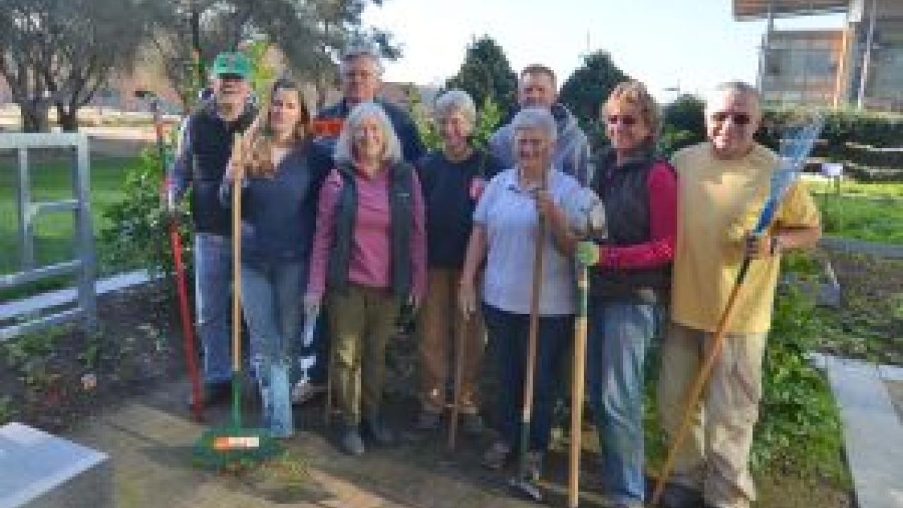 Volunteers