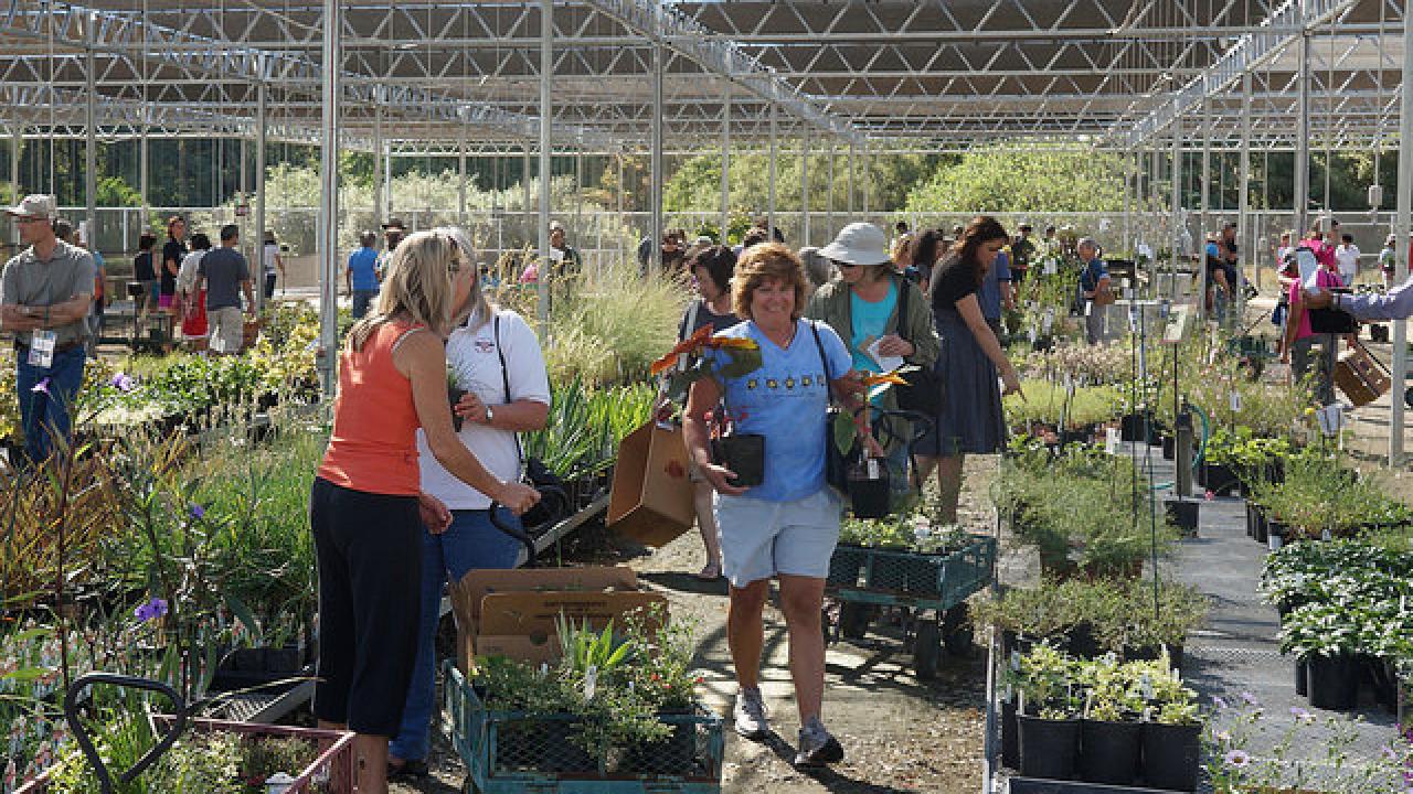 FALL PLANT SALE