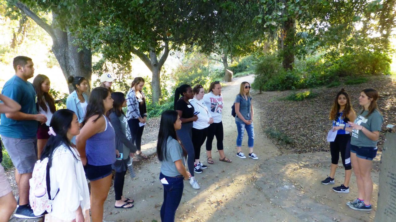 Image of student leading a tour in the UC Davis Arboretum.