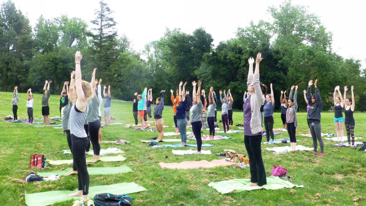 Photo of people doing yoga in the arboretum