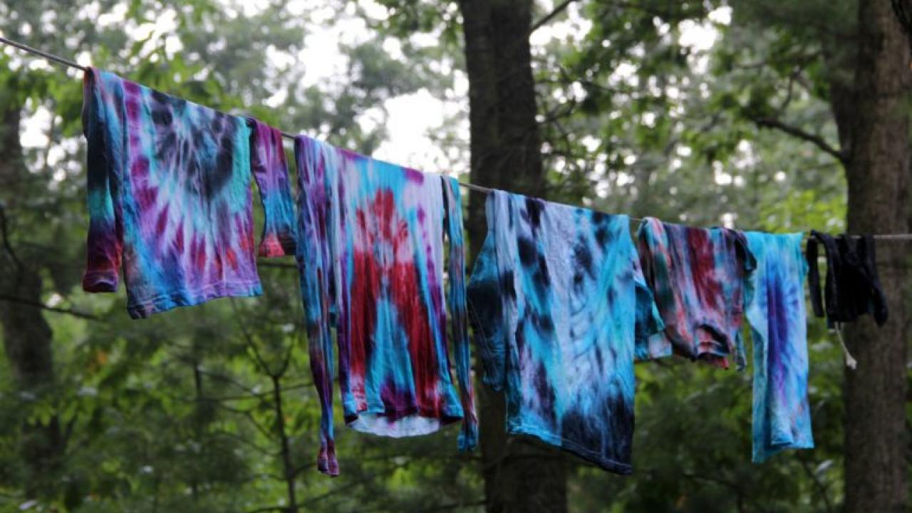 Natural Products Tie-dye Workshop