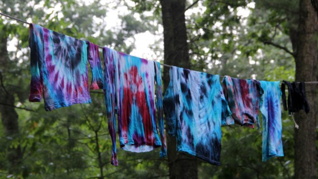 Natural Products Tie-dye Workshop