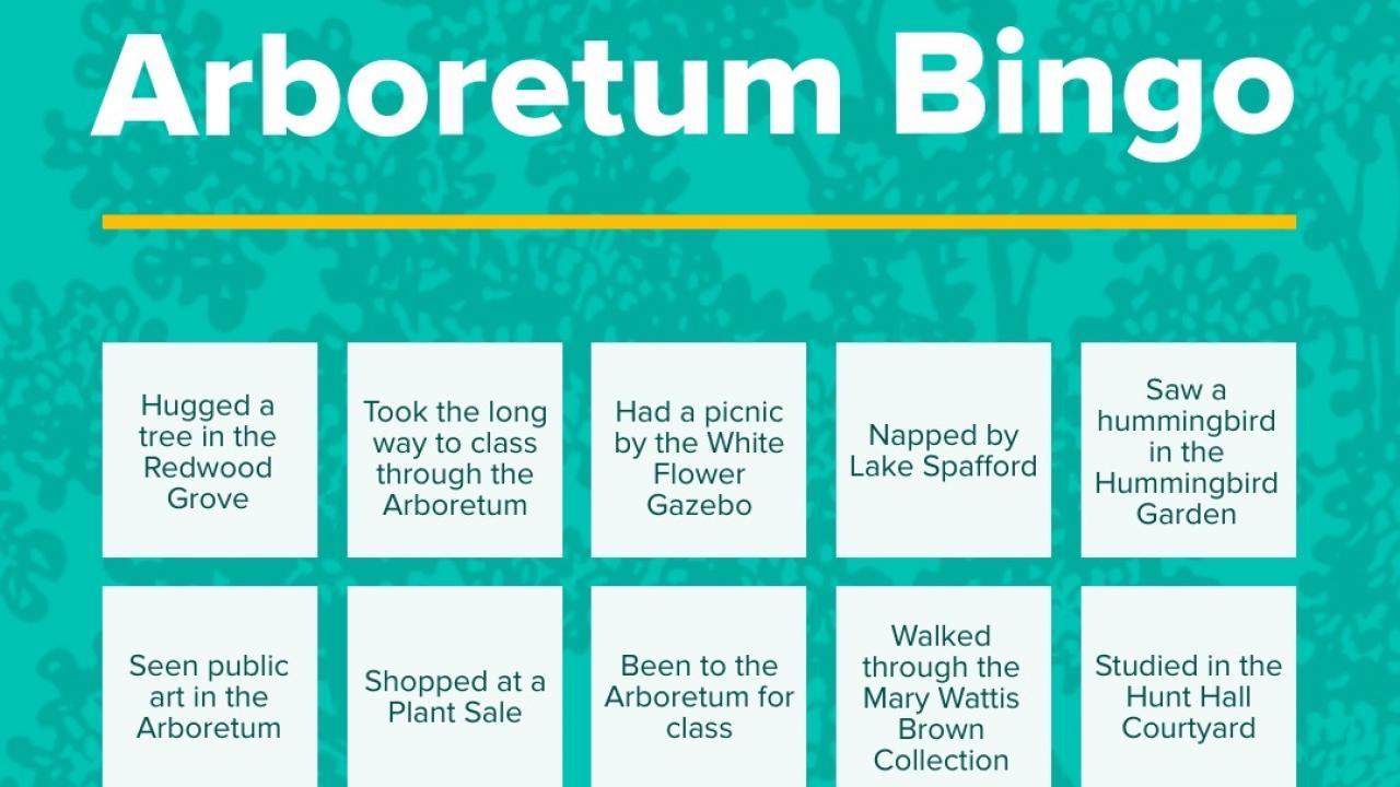 Arboretum bingo