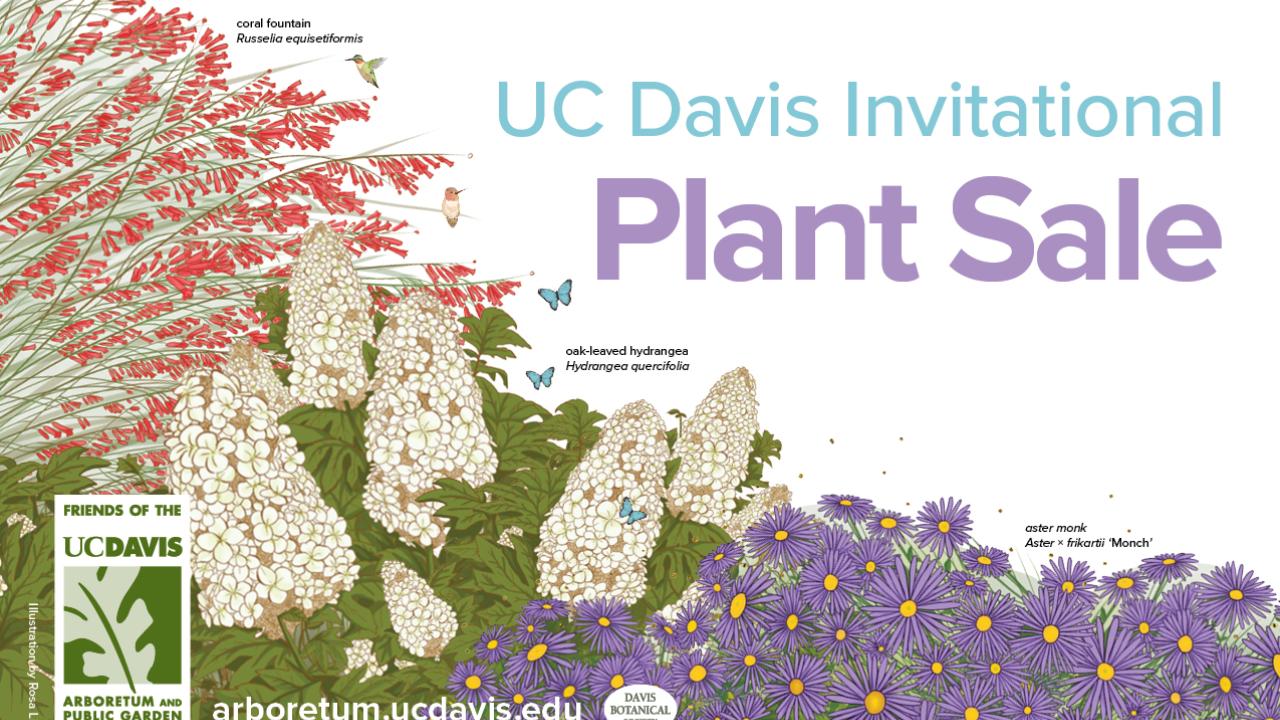 Image of graphic for UC Davis Invitational Plant Sale