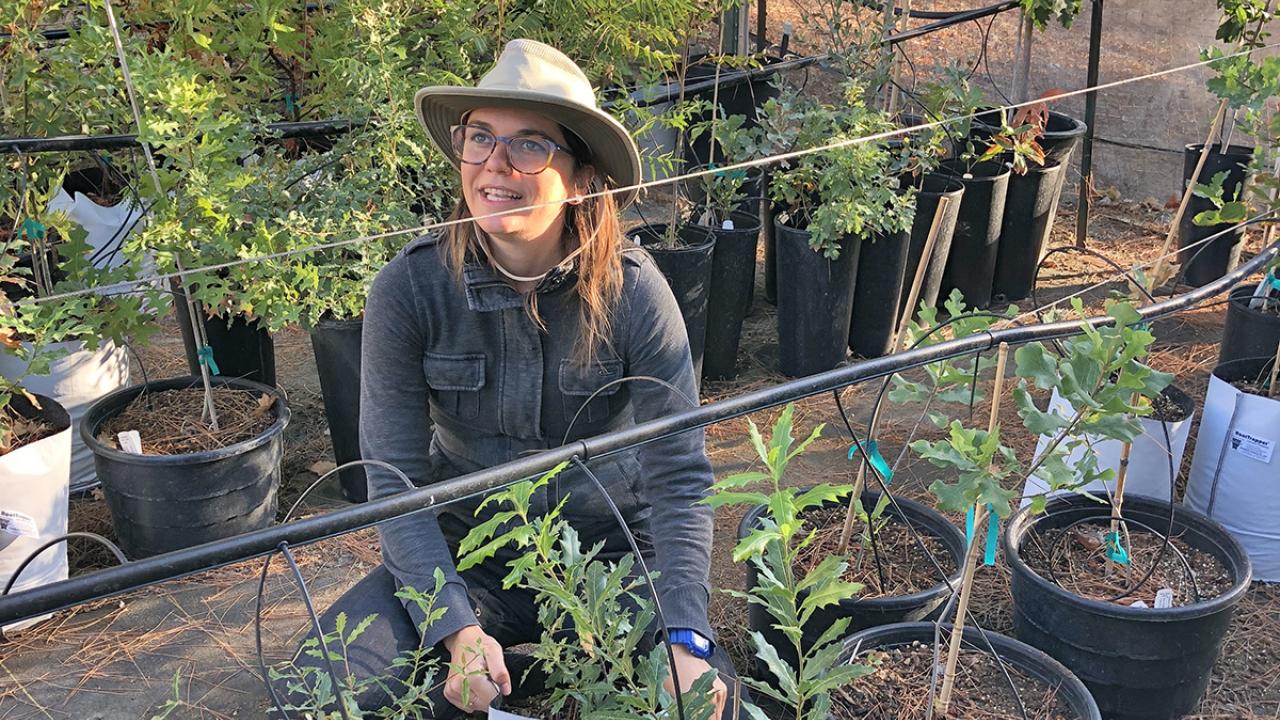 Abbey Hart in the tree nursery