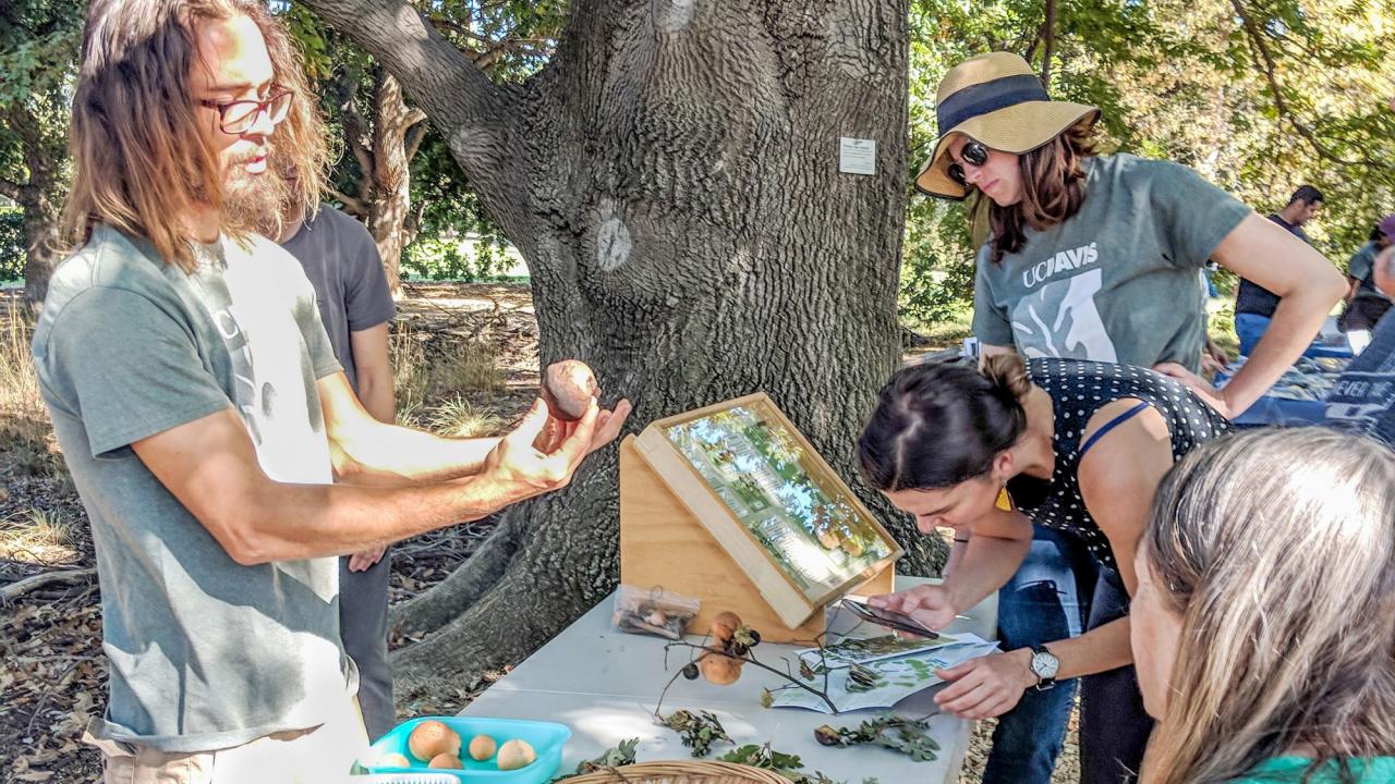 Photo of people in the Shield's Oak Grove learning about oak galls at an event called Oak Discovery Day.