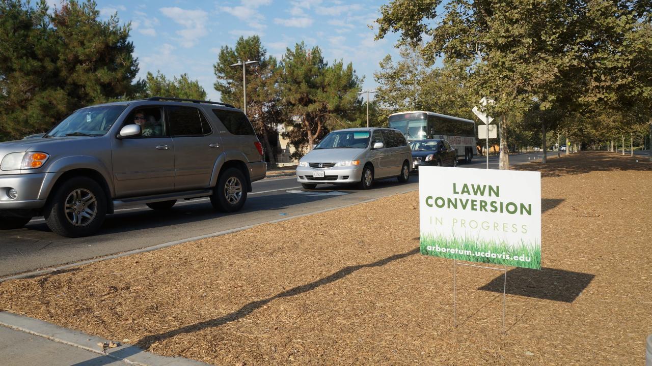 Image of Old Davis Road median as cars drive by. A lawn conversion in progress sign is posted in a large strip of mulch.