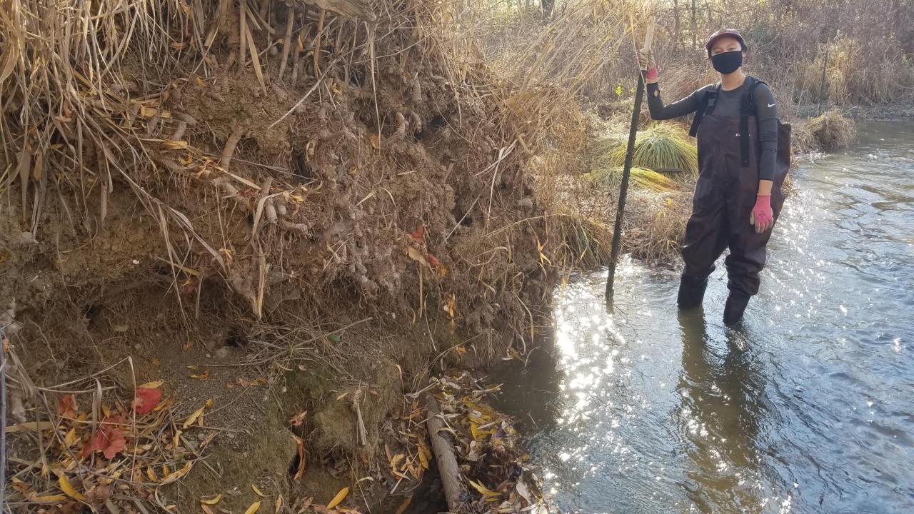 Student working at Putah Creek