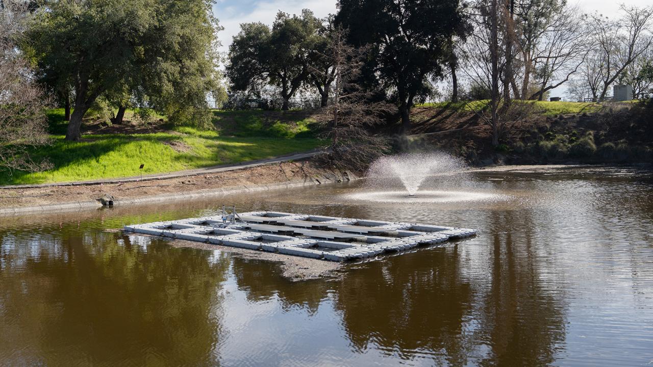 Solar Panels in the Arboretum Waterway