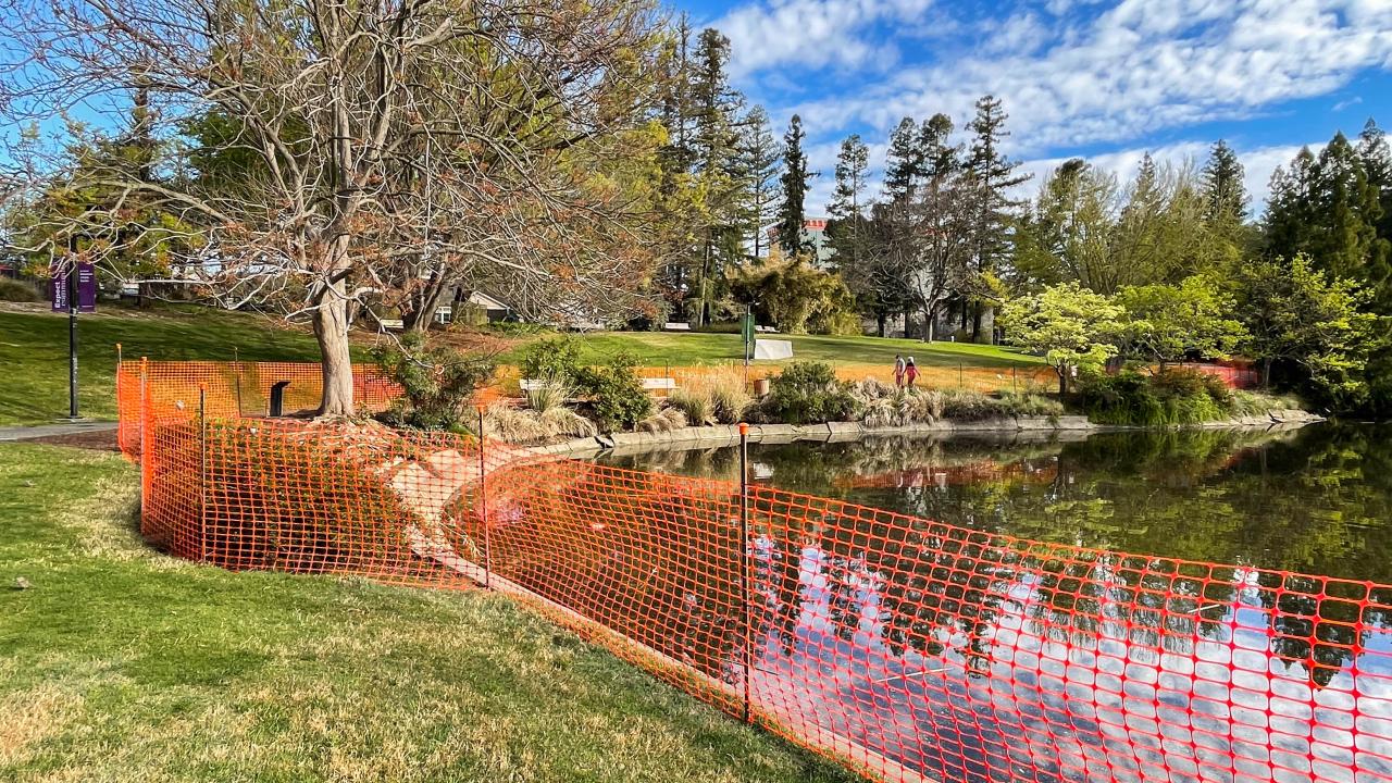 Image of orange safety fencing following the perimeter of a lake on one side and grass on the other.