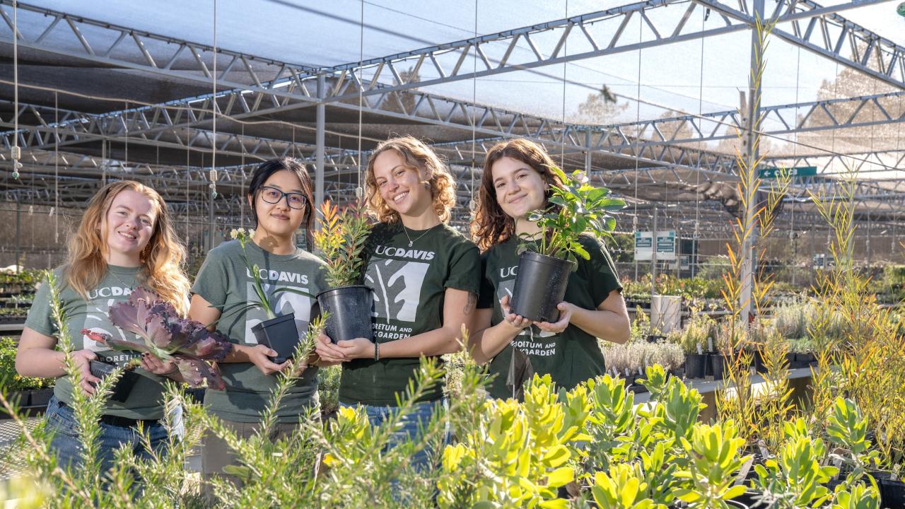 Four Learning by Leading interns pose with plants among aisles of greenery in the Arboretum Teaching Nursery