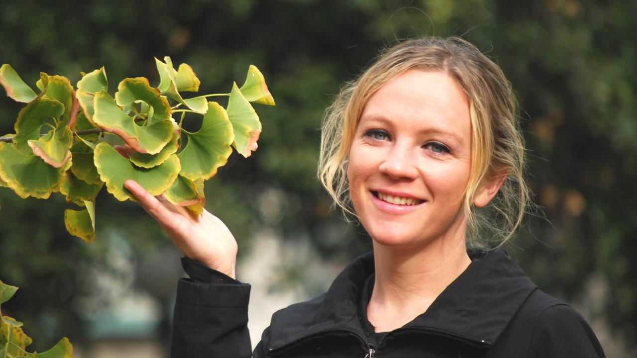 Kathy Guertze poses with a Gingko tree