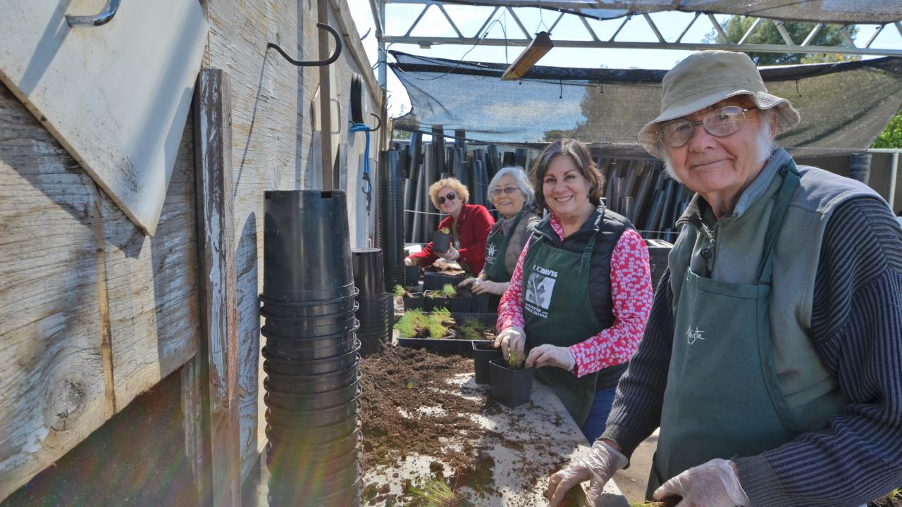 Four volunteer smile while potting plants in the Arboretum Nursery