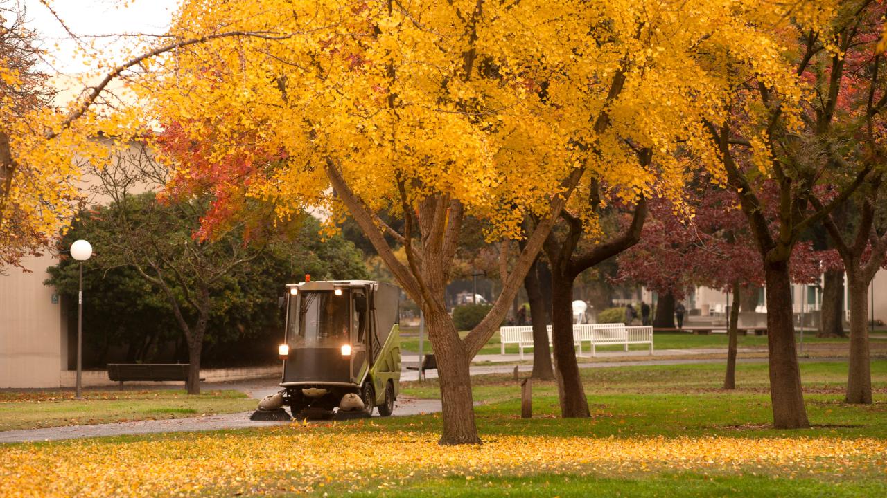 Image of a street sweeper in fall cleaning up yellow leaves spread over green grass and paved areas.