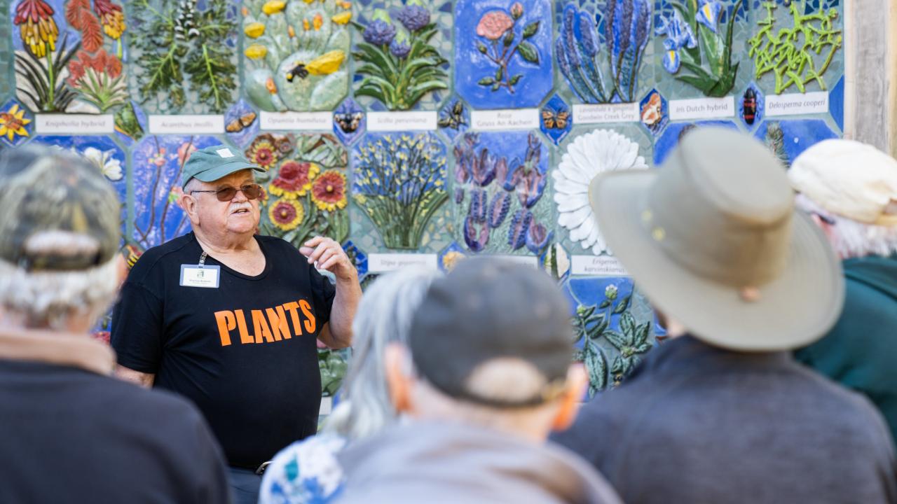 Warren speaks to a crowd in front of Nature's Gallery Court