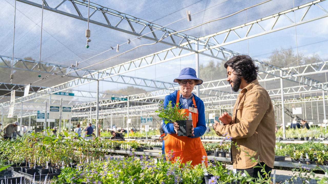 A plant sale expert talks with a visitor