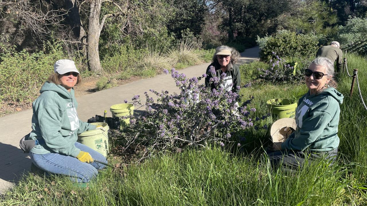 Three volunteers site near a pile of pulled weeds