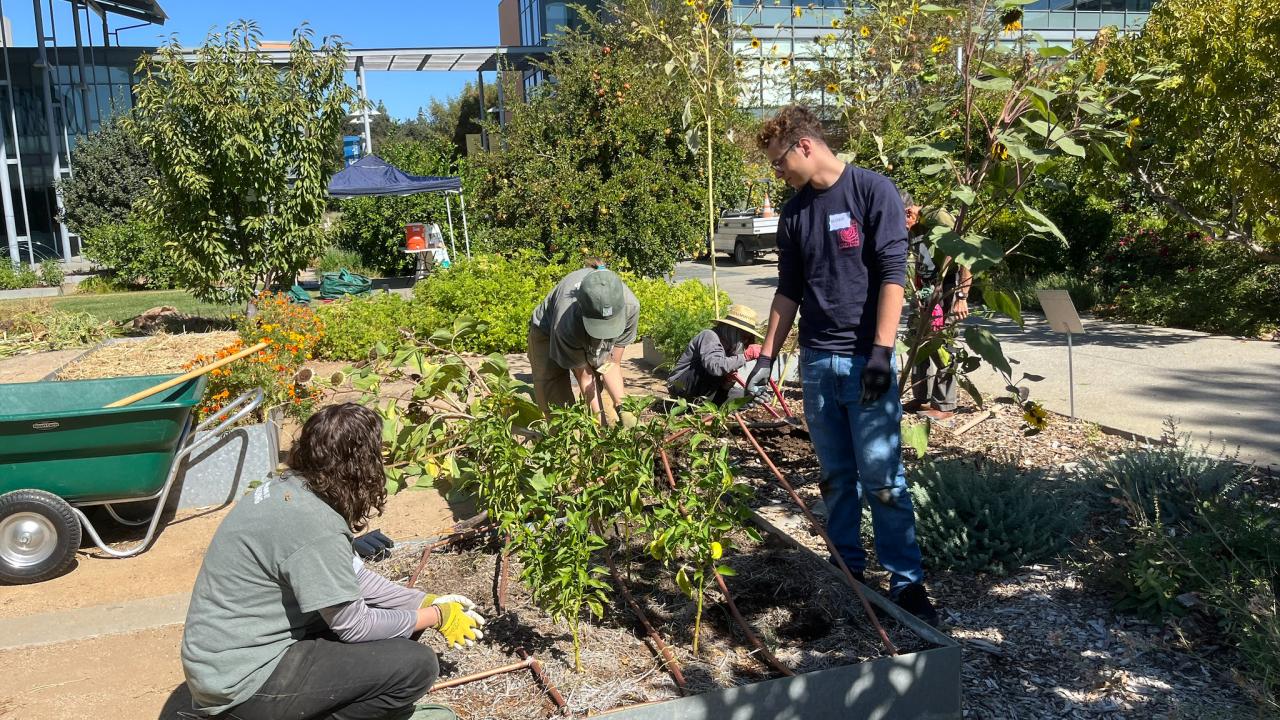 Volunteers in the Good Life Garden