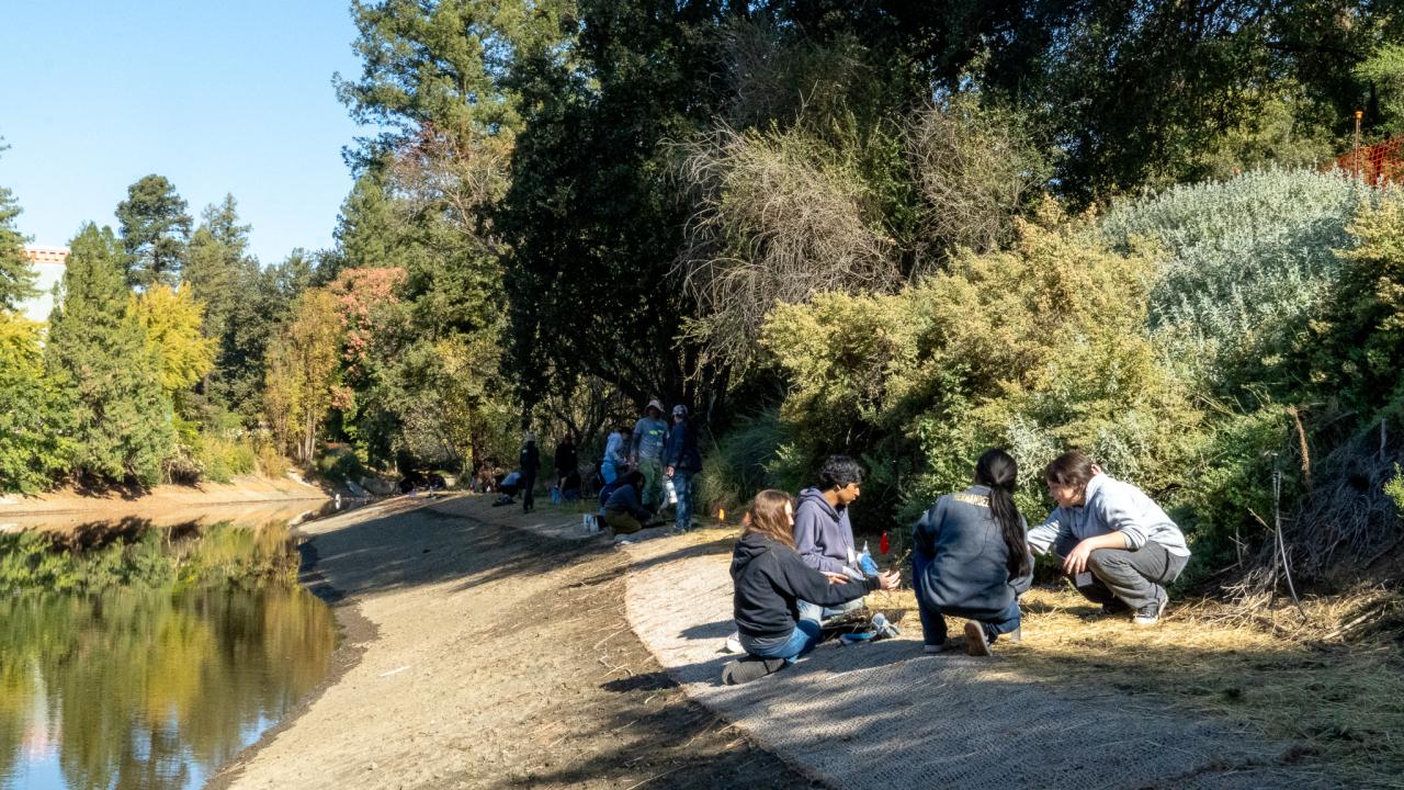 Volunteers planting plants on the slopes of the Arboretum Waterway