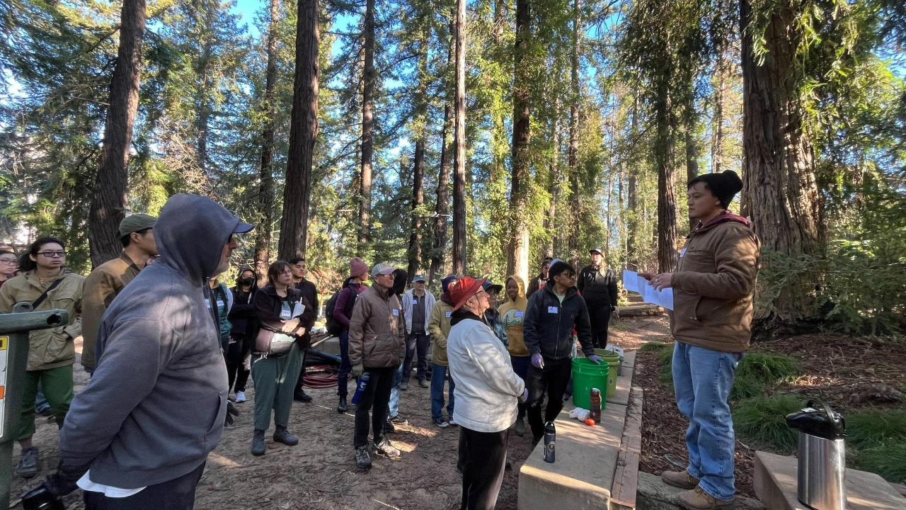 A group of volunteers gather in the Redwood Grove