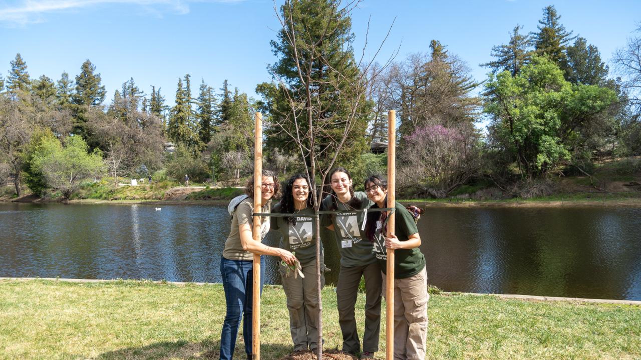 Image of four young women behind a newly planted tree. All are wearing UC Davis Arboretum and Public Garden t-shirts and stand in front of a backdrop that includes Lake Spafford and a lush landscape.
