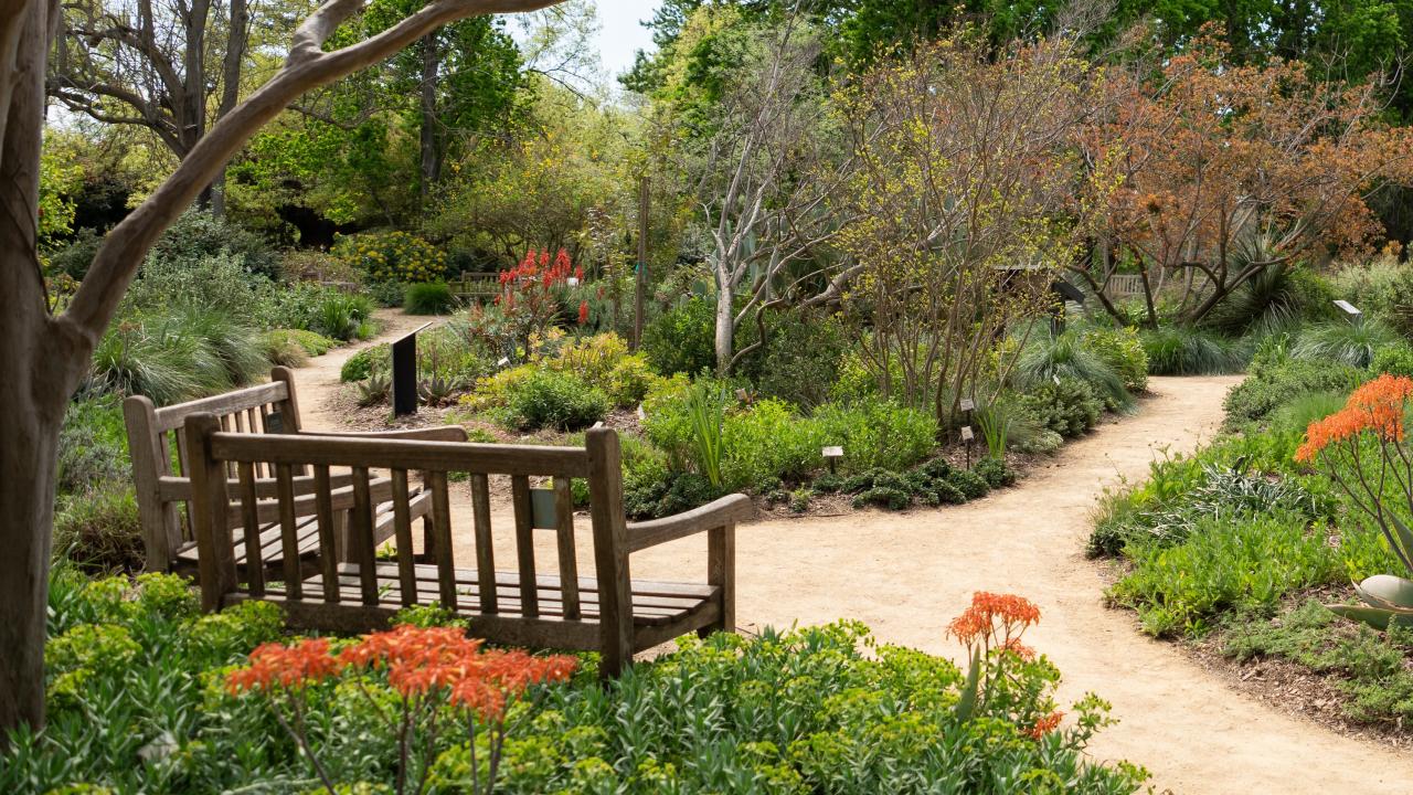Two benches in a garden