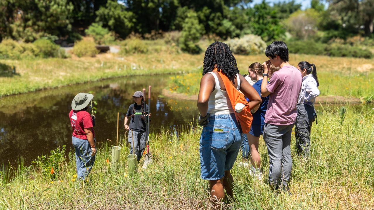 A group of people stand on the banks of the Arboretum Waterway