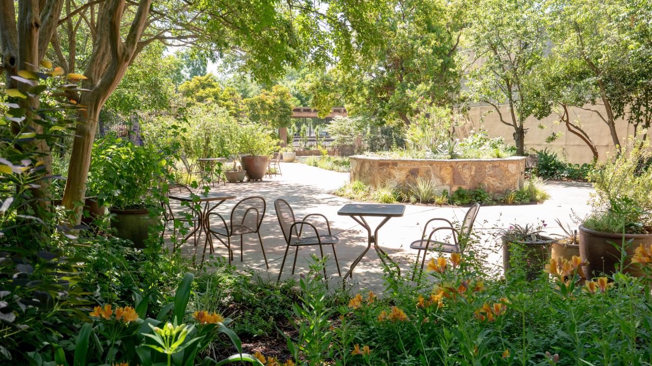 A lush, sun-dappled patio in the UC Davis Arboretum Terrace Garden, featuring metal café tables and chairs surrounded by flowering plants, large ceramic pots, and mature shade trees. In the center, a repurposed stone fountain now serves as a raised planter filled with drought-tolerant vegetation. The garden exudes a peaceful, Mediterranean-inspired ambiance with abundant greenery and filtered light.