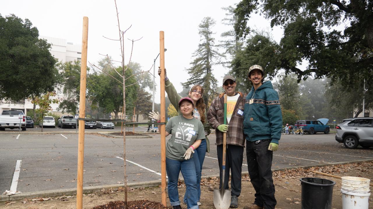 Four people stand by a newly planted tree next to a parking lot holding gardening tools.