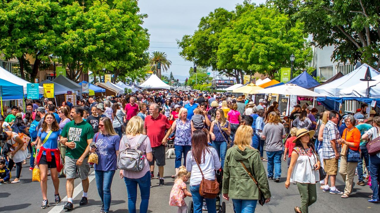 Crowd and vendors at the California Honey Festival