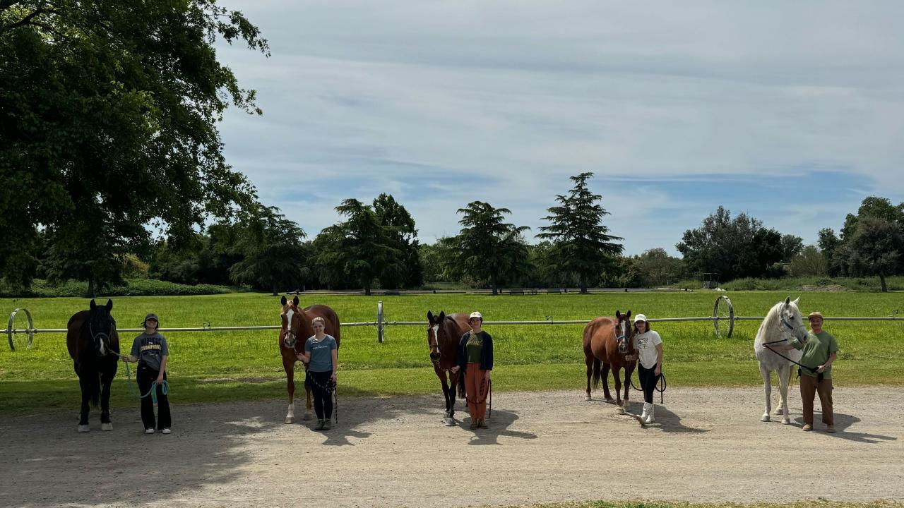 Five people standing next to five horses