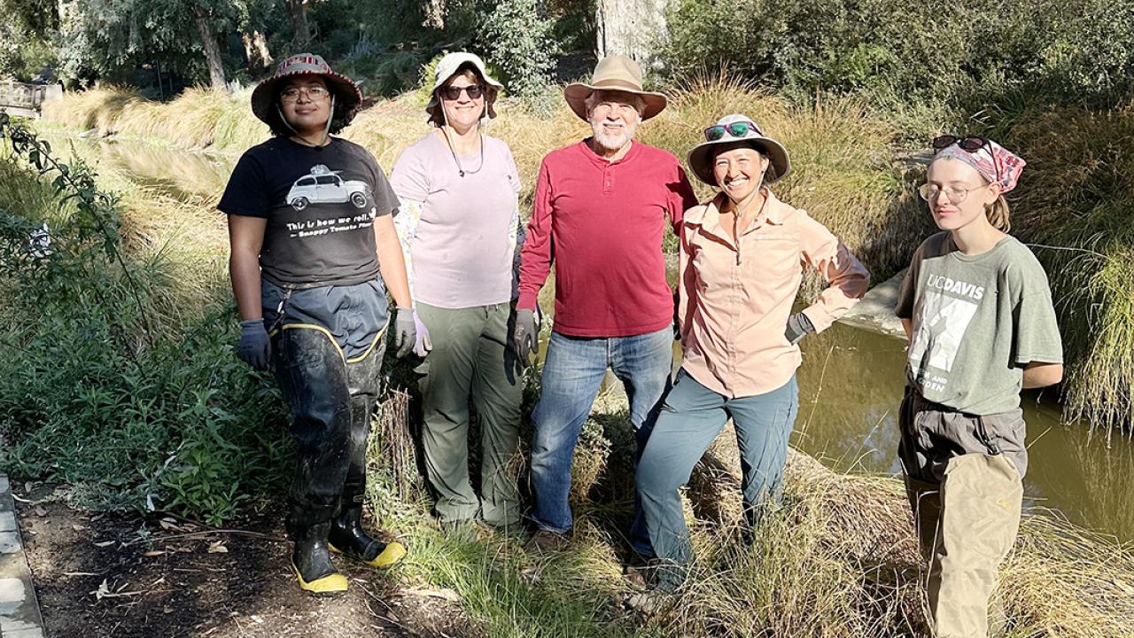 a group of volunteers in the UC Davis Arboretum Waterway.