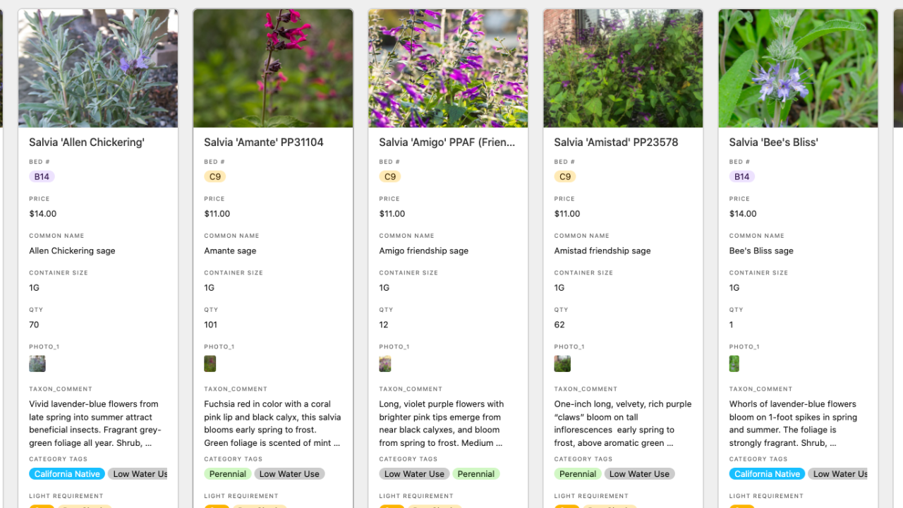 Image of the new plant sale gallery screen shot featuring plant photos and information.