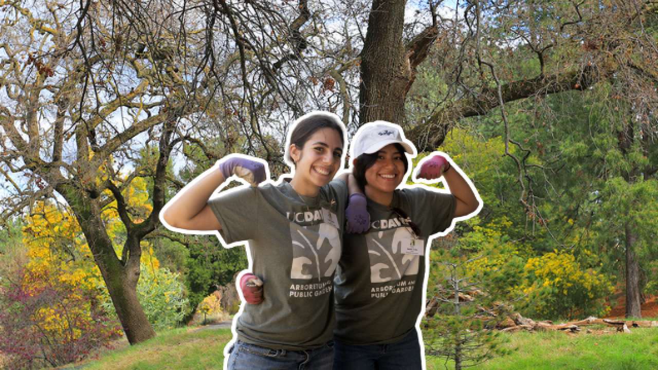 Image of two students with their arms around each other's waists and their other arm flexing a bicep on a background image of the UC Davis Arboretum acacia grove.