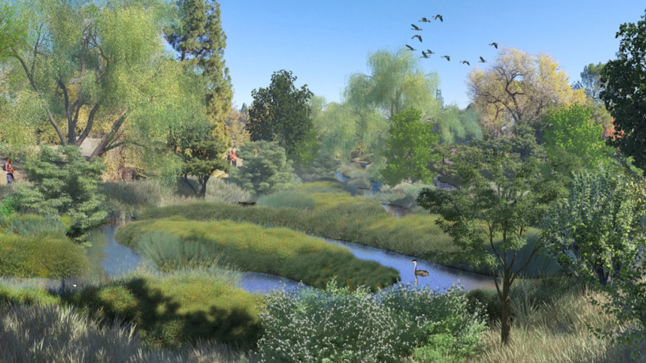 Rendering of the reimagined Arboretum Waterway