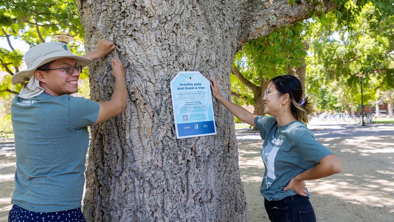 Learning by Leading students install tree tags
