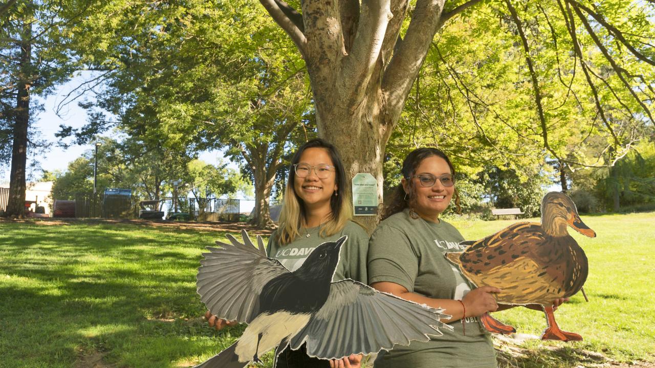 Image of Doris Wu holding a large cut out of a black phoebe bird and Melissa Cruz hold a large cutout of a female mallard duck, both are standing under the shade of a tree in the UC Davis Arboretum and Public Garden.