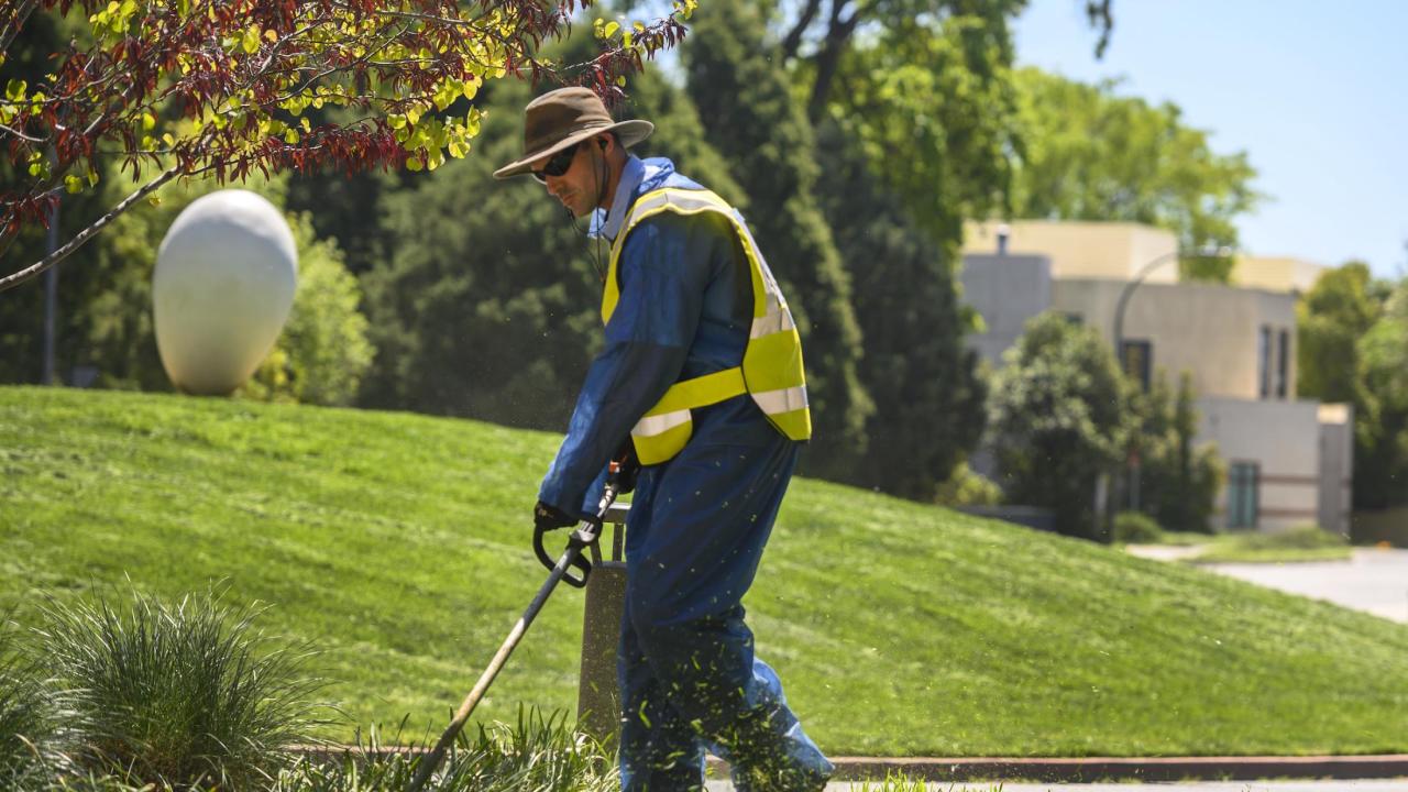 Groundskeeper tending the lawn near an Egghead statue