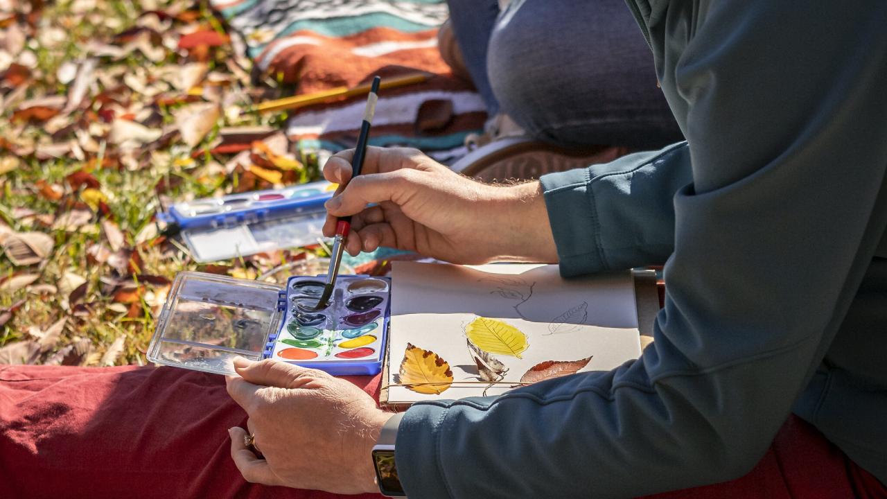 Person watercoloring leaves outside