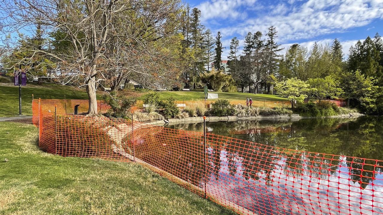 Photo of the UC Davis Arboretum under construction