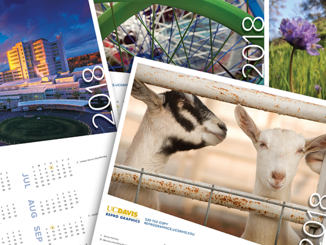 Collage of past UC Davis Repro Graphics Made-to-Order calendars.