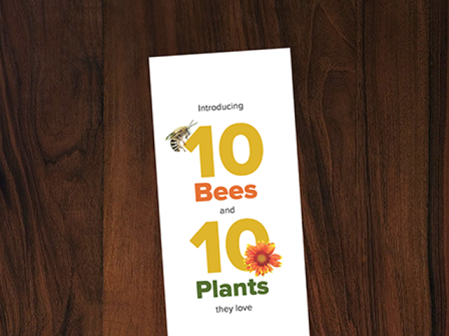 cover image of the 10 bees and 10 plants they love pamphlet