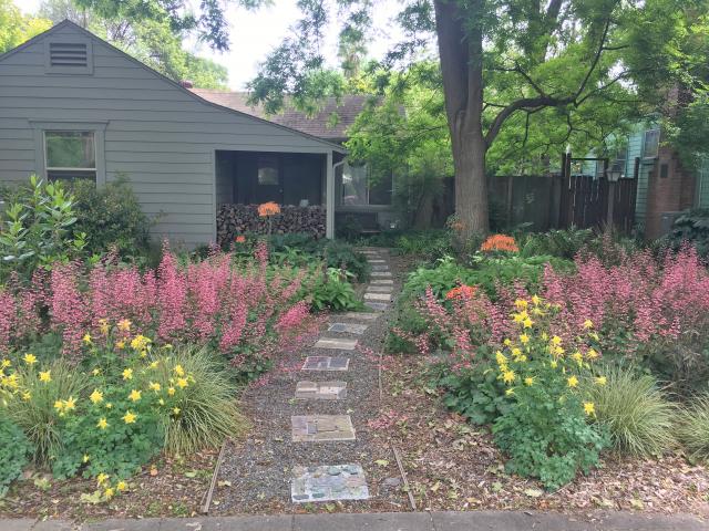 Image of Stacey Parker's lawn-free front yard.