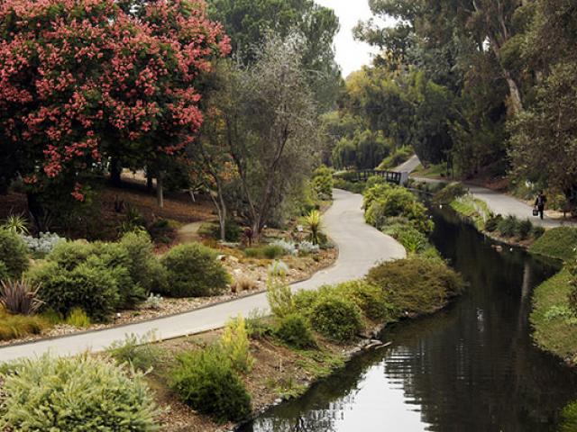 UC Davis Arboretum and Public Gardens have over 26 different locations that are perfect for an engagement session.
