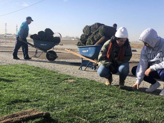 learning by leading smartlawn uc davis