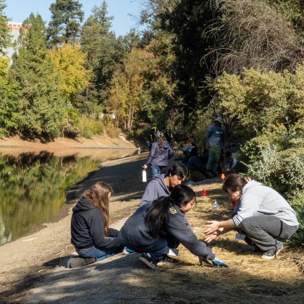 Students planting along the banks of the Arboretum Waterway