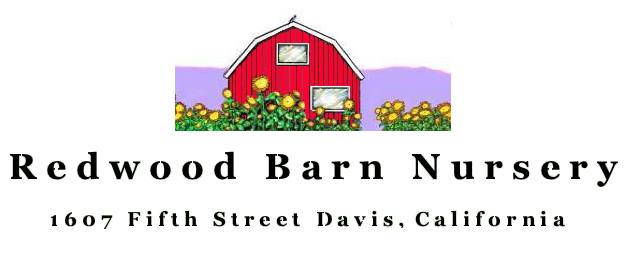 Redwood Barn Nursery logo