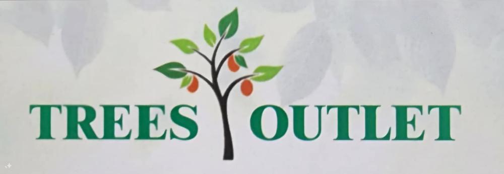 outline of tree with green leaves and oranges centered. Green text to the left of tree reads trees. Green text to the right of tree reads outlet
