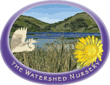 watershed nursery logo