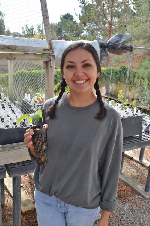 Image of Learning by Leading student Ellen Sanders-Raigosa in the UC Davis Arboretum's tree propagation facility.